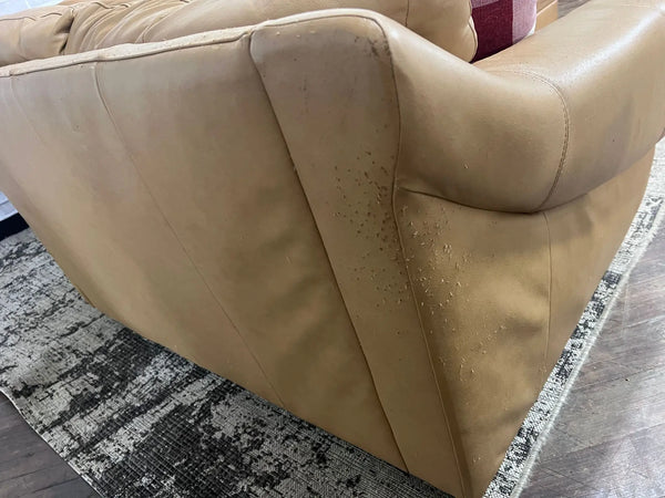 FREE DELIVERY! 🚚 - Jordan’s Furniture Tan Genuine Leather Sectional Cozy Couple